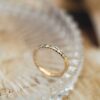 Alpha alliansering, Diamant 0.50ct (WSI) - Bilde 2