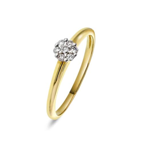 Hvitt Gull Ring 0,12 WSI 7 br